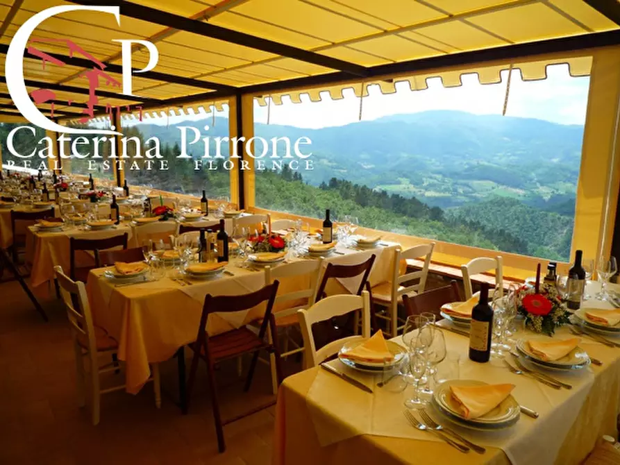 Immagine 15 di Agriturismo in vendita  in via Ampinana 10 a Vicchio