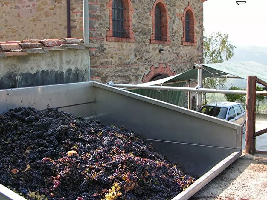 Immagine 6 di Agriturismo in vendita  in via Ampinana 10 a Vicchio