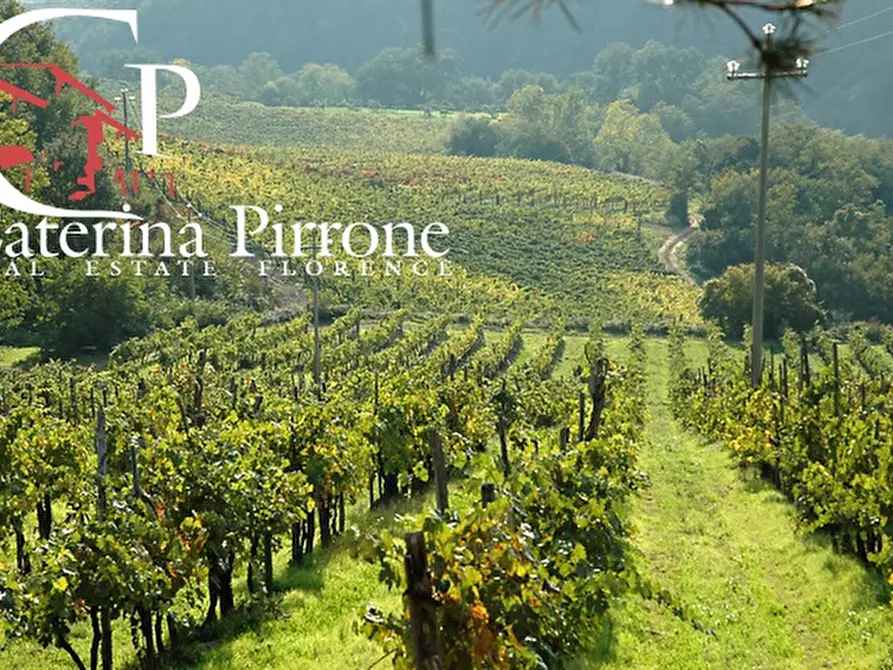 Immagine 13 di Agriturismo in vendita  in via Ampinana 10 a Vicchio