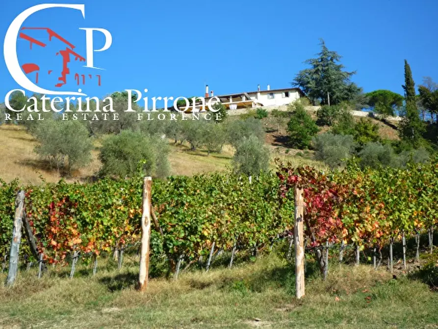 Immagine 2 di Agriturismo in vendita  in via Ampinana 10 a Vicchio