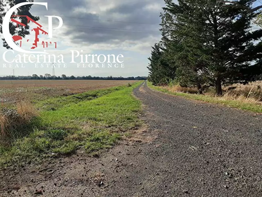 Immagine 3 di Rustico / casale in vendita  in località la Valle 10 a Rosignano Marittimo