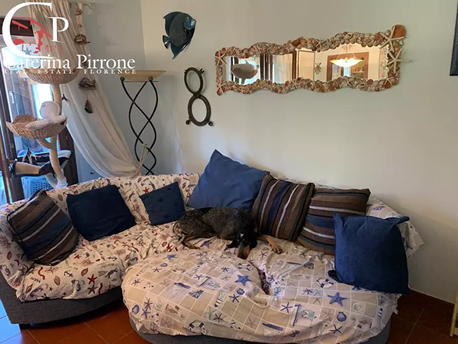 Immagine 10 di Casa indipendente in vendita  a Monte Argentario