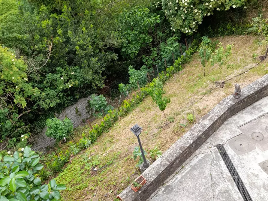 Immagine 5 di Appartamento in vendita  in via Falterona a Londa