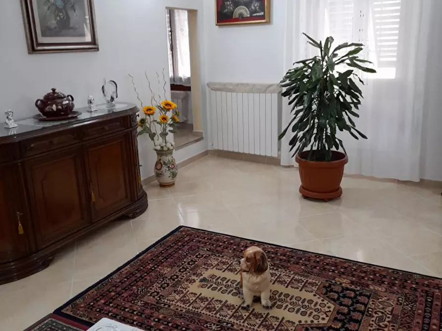 Immagine 14 di Appartamento in vendita  in via Falterona a Londa