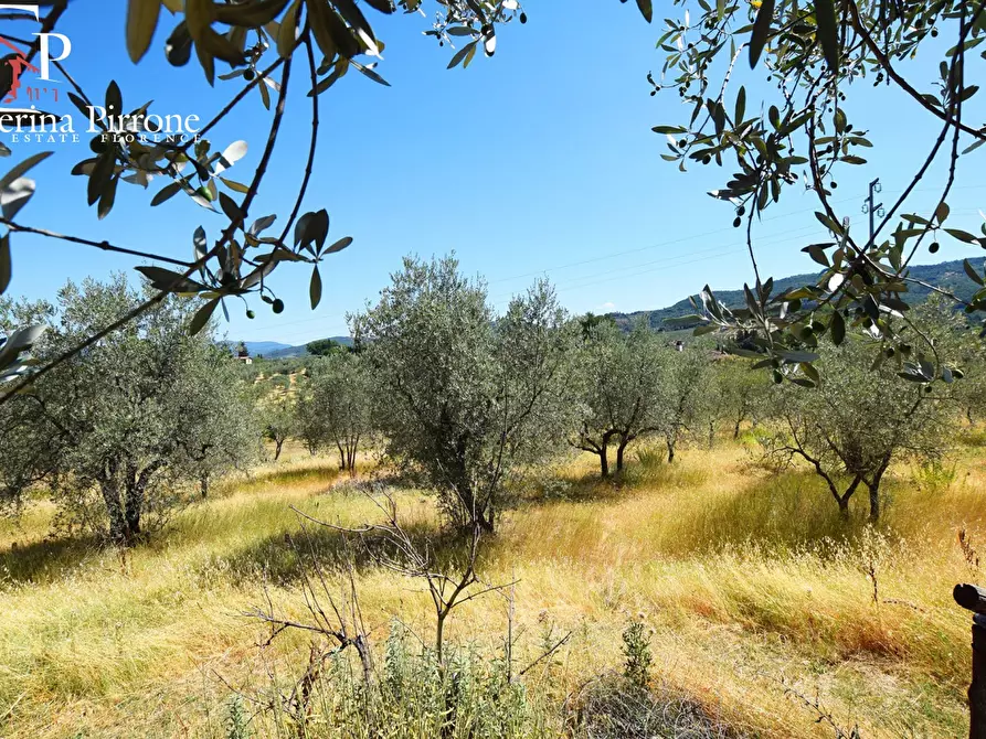 Immagine 1 di Terreno agricolo in vendita  in via di San Bartolo a Fiesole