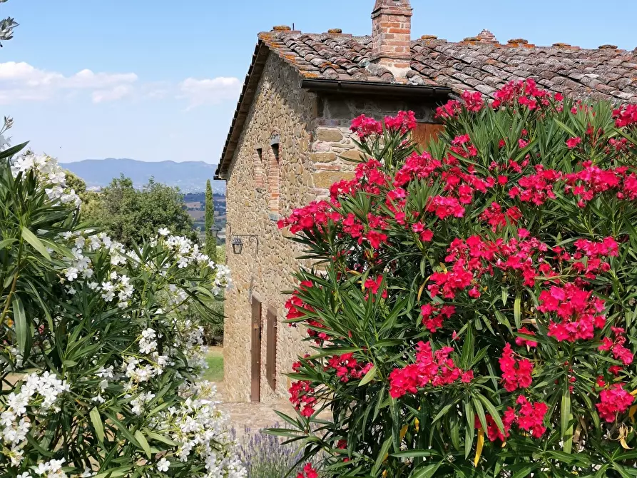 Immagine 6 di Villa in vendita  in via Pastina a Monte San Savino