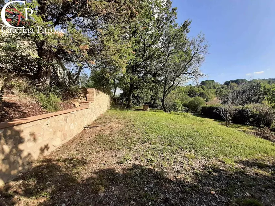 Immagine 12 di Rustico / casale in vendita  in via delle Colline 13 a Casale Marittimo