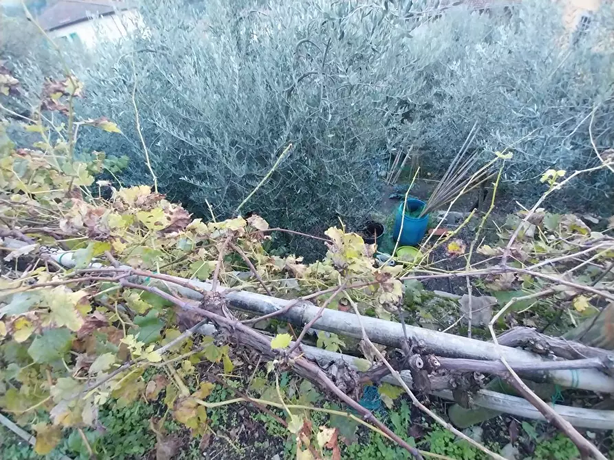 Immagine 11 di Rustico / casale in vendita  in via del Parco 10 a Londa