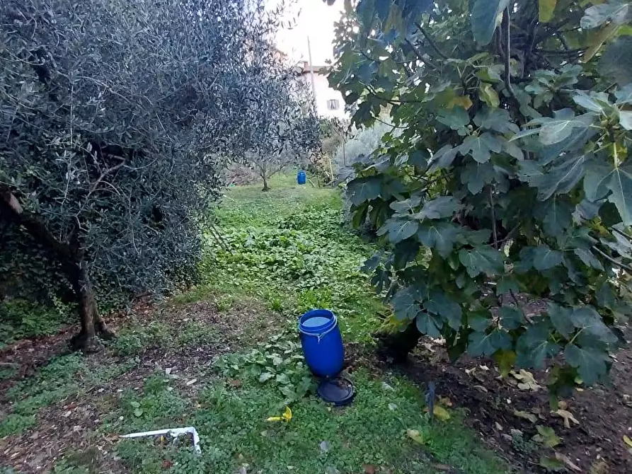 Immagine 12 di Rustico / casale in vendita  in via del Parco 10 a Londa
