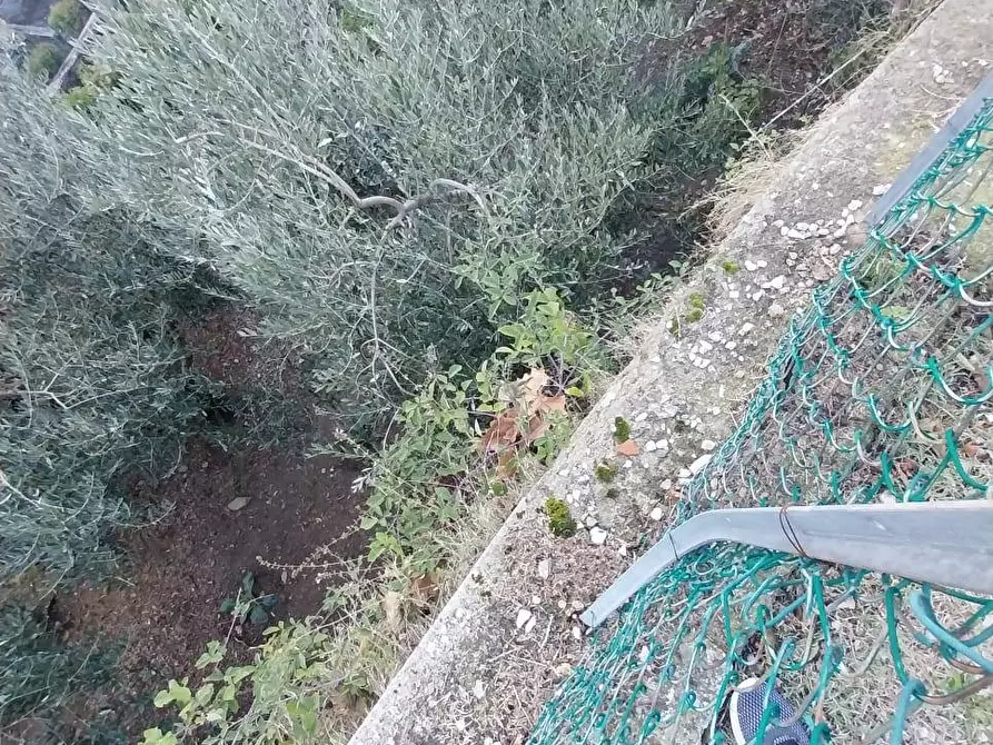 Immagine 13 di Rustico / casale in vendita  in via del Parco 10 a Londa