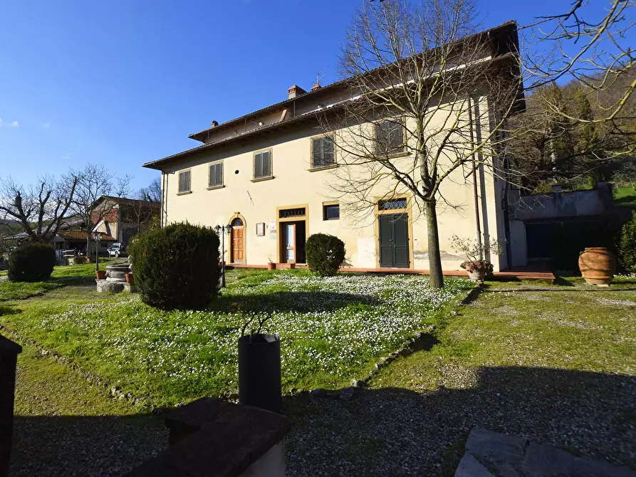 Immagine 11 di Azienda agricola in vendita  in località Rimaggio 10 a Dicomano