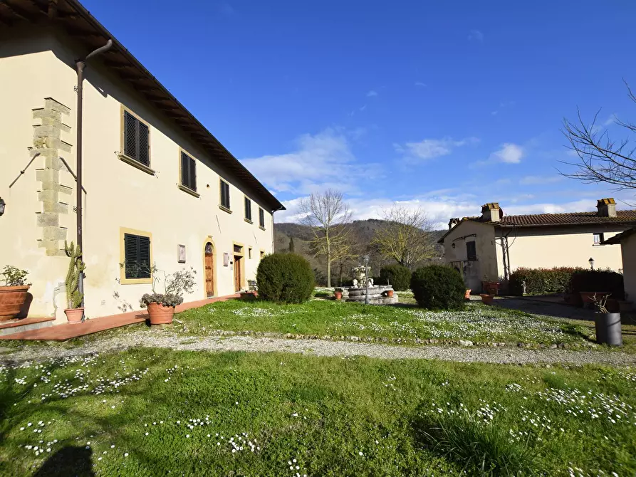 Immagine 13 di Azienda agricola in vendita  in località Rimaggio 10 a Dicomano