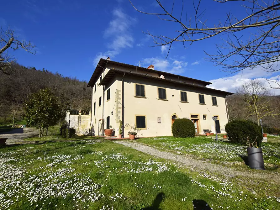 Immagine 14 di Azienda agricola in vendita  in località Rimaggio 10 a Dicomano