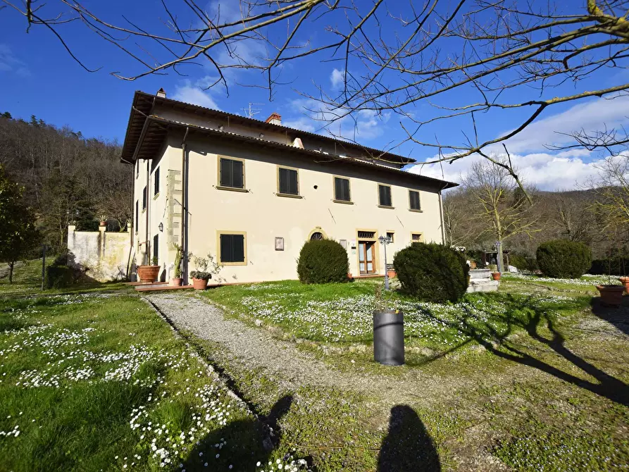 Immagine 15 di Azienda agricola in vendita  in località Rimaggio 10 a Dicomano