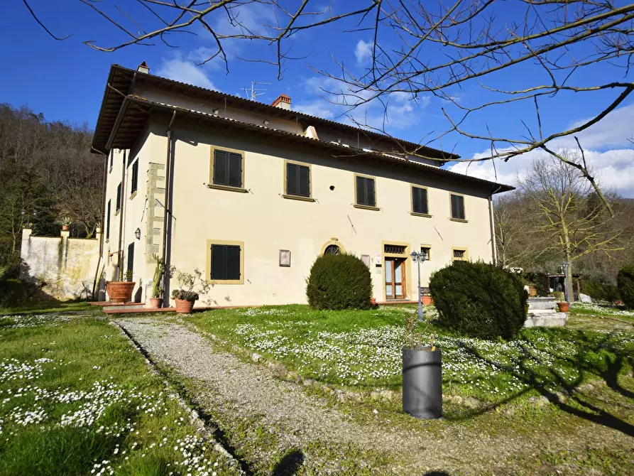 Immagine 16 di Azienda agricola in vendita  in località Rimaggio 10 a Dicomano