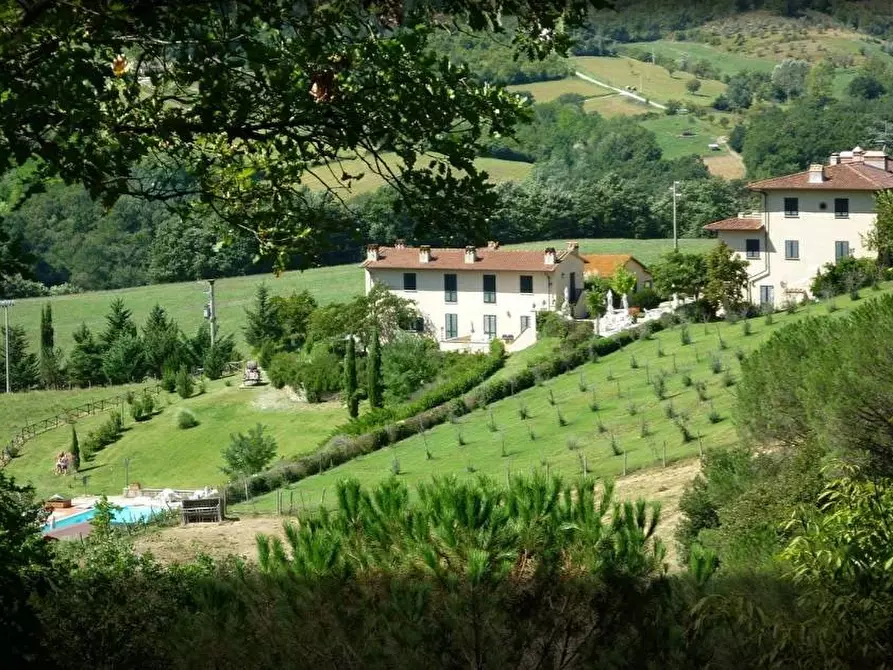 Immagine 5 di Azienda agricola in vendita  in località Rimaggio 10 a Dicomano
