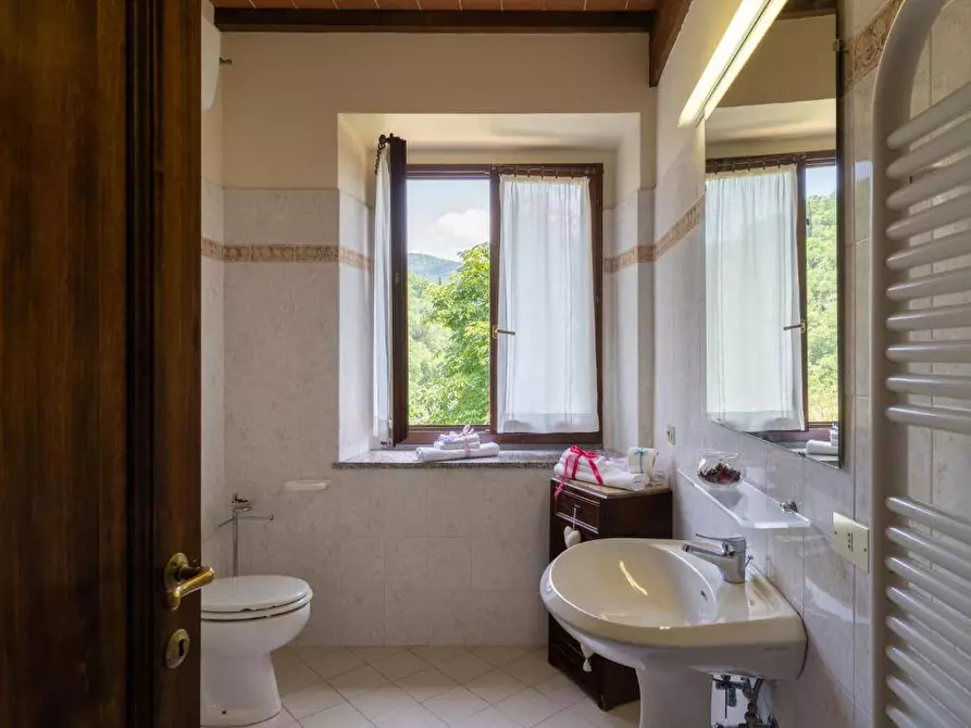 Immagine 55 di Azienda agricola in vendita  in località Rimaggio 10 a Dicomano