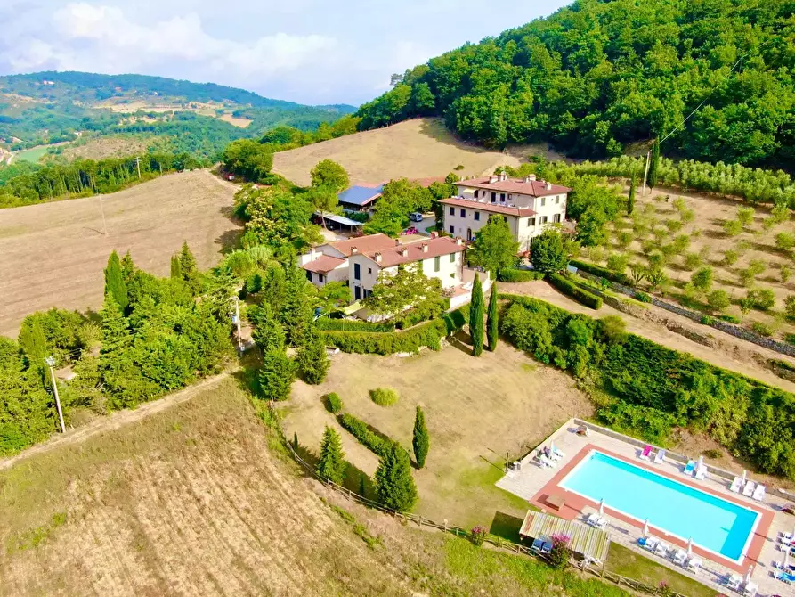 Immagine 33 di Azienda agricola in vendita  in località Rimaggio 10 a Dicomano