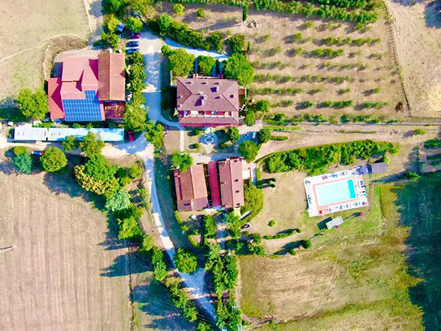 Immagine 4 di Azienda agricola in vendita  in località Rimaggio 10 a Dicomano