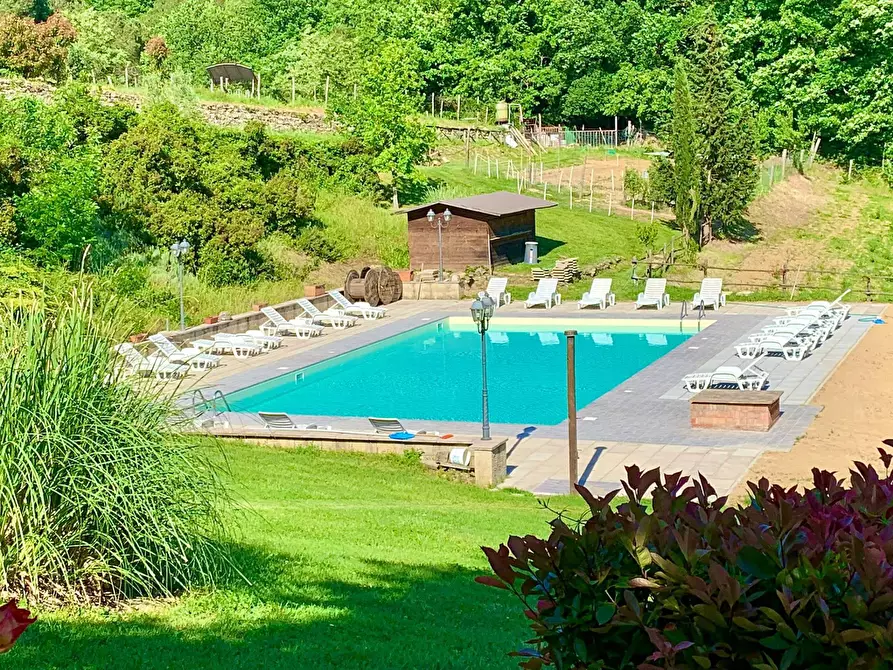 Immagine 39 di Azienda agricola in vendita  in località Rimaggio 10 a Dicomano