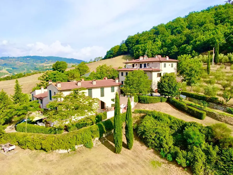 Immagine 7 di Azienda agricola in vendita  in località Rimaggio 10 a Dicomano