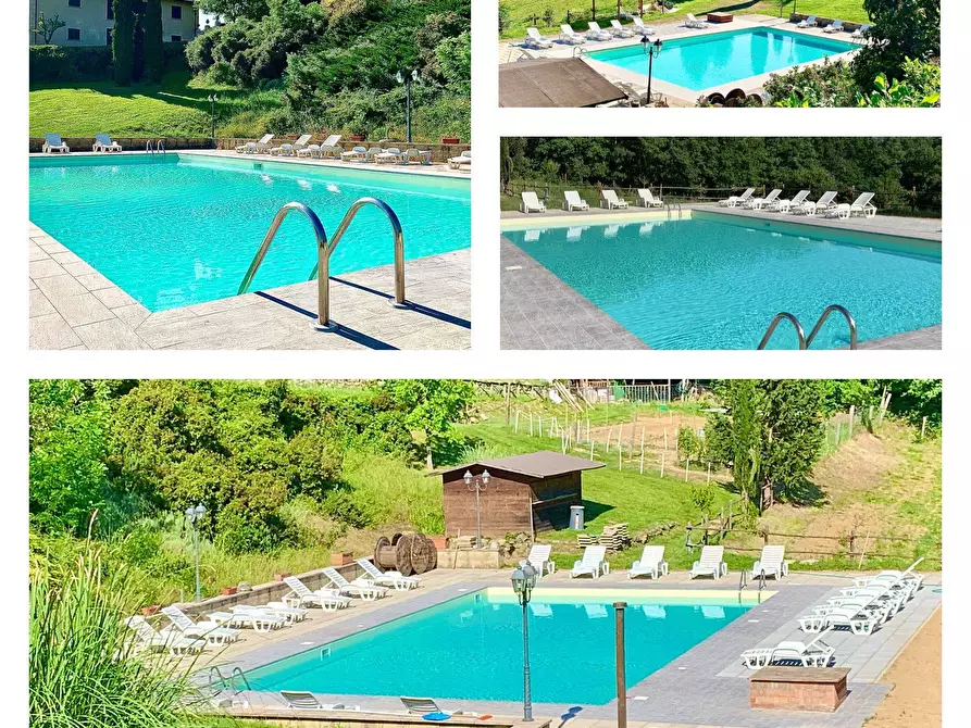 Immagine 45 di Azienda agricola in vendita  in località Rimaggio 10 a Dicomano