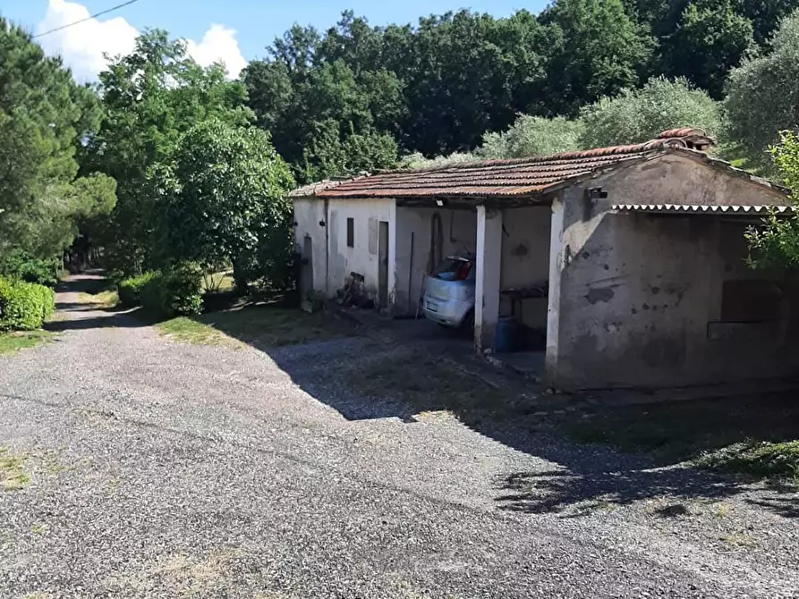 Immagine 8 di Appartamento in vendita  in via Vecchia di Ligia a Casale Marittimo