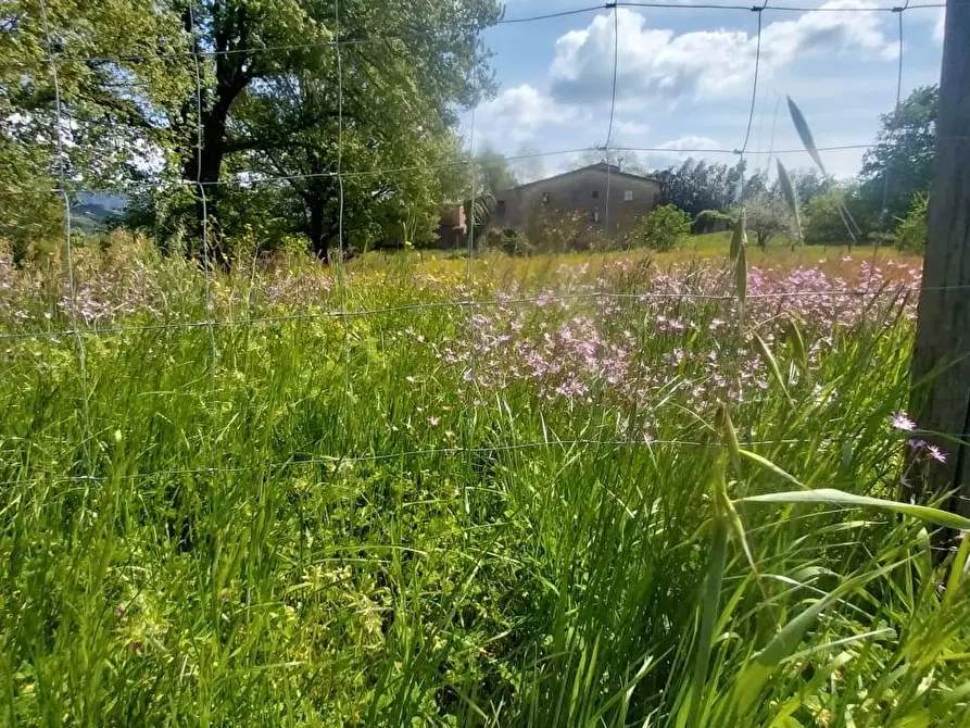 Immagine 1 di Rustico / casale in vendita  in via di San Gavino a Scarperia E San Piero