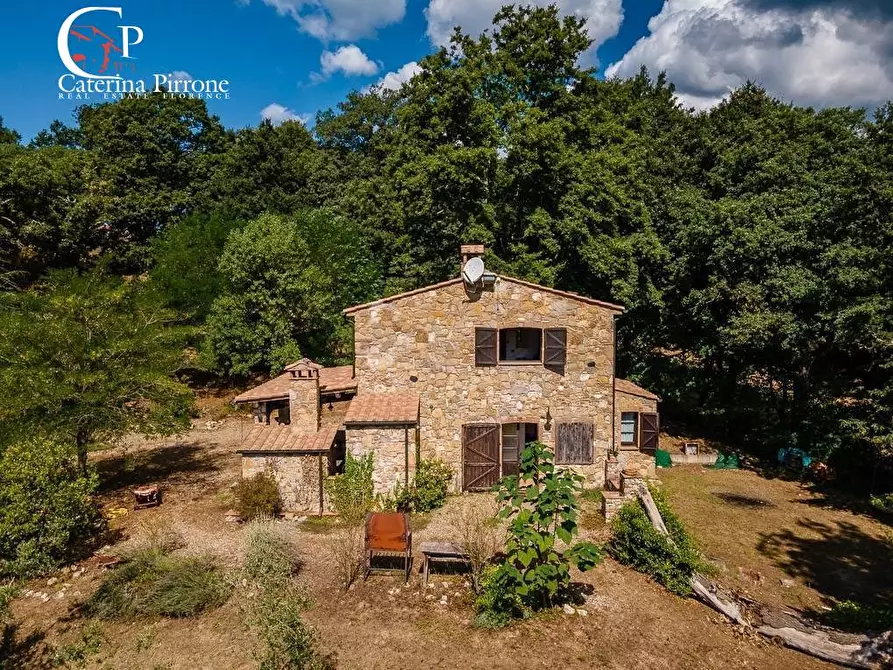 Immagine 3 di Rustico / casale in vendita  in via delle Bastiole a Montieri