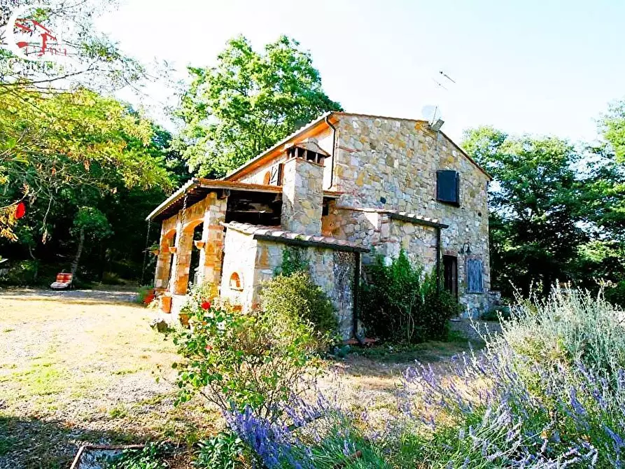 Immagine 4 di Rustico / casale in vendita  in via delle Bastiole a Montieri