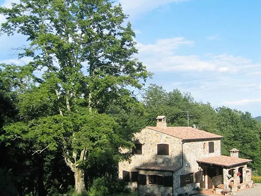 Immagine 6 di Rustico / casale in vendita  in via delle Bastiole a Montieri
