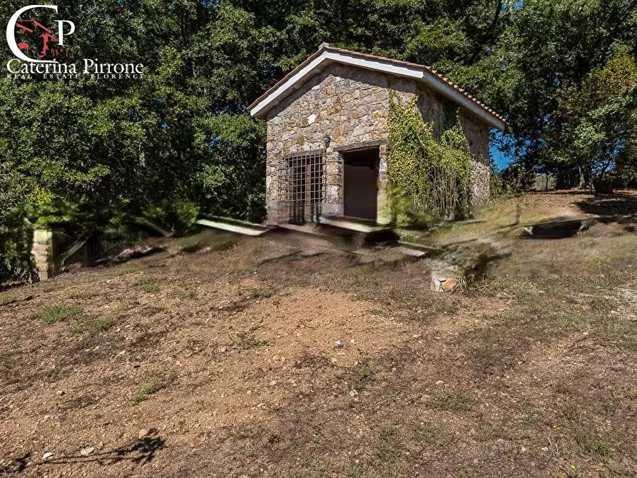 Immagine 8 di Rustico / casale in vendita  in via delle Bastiole a Montieri