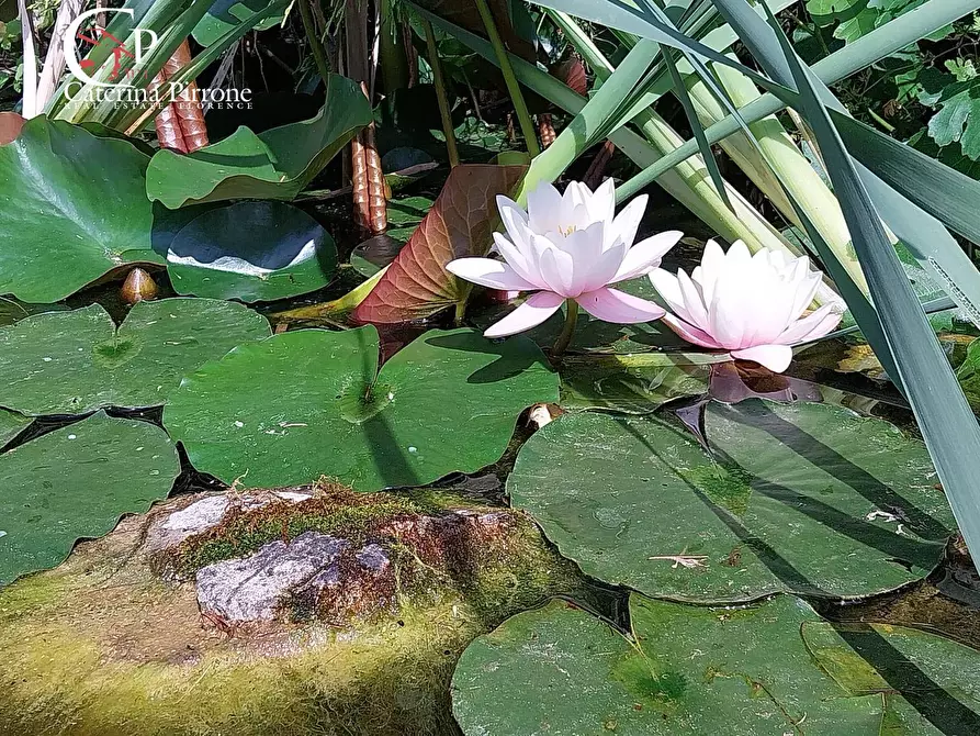 Immagine 14 di Villa in vendita  in strada provinciale 551 75 a Vicchio