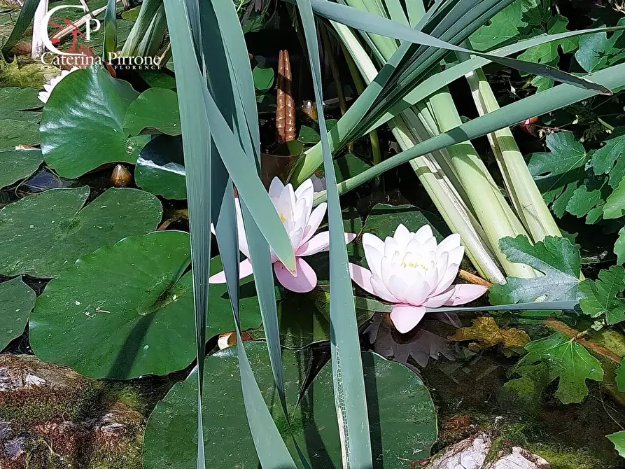 Immagine 15 di Villa in vendita  in strada provinciale 551 75 a Vicchio