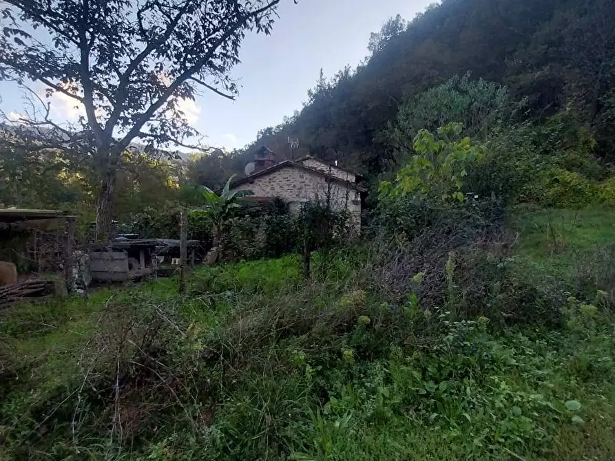 Immagine 1 di Rustico / casale in vendita  in via del Palagio in Colognole a Pontassieve