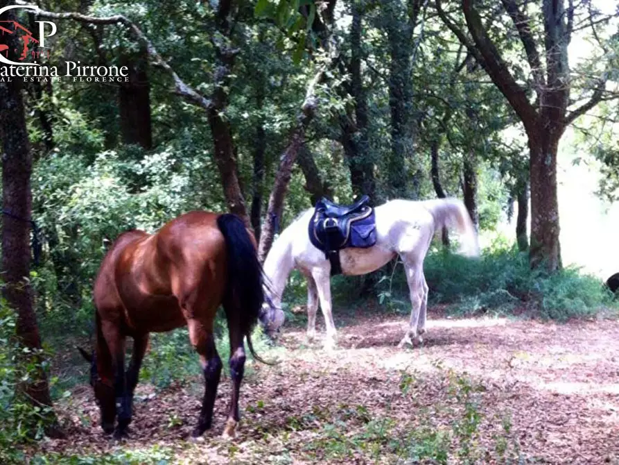 Immagine 44 di Villa in vendita  in località Montecucco a Rignano Sull'arno