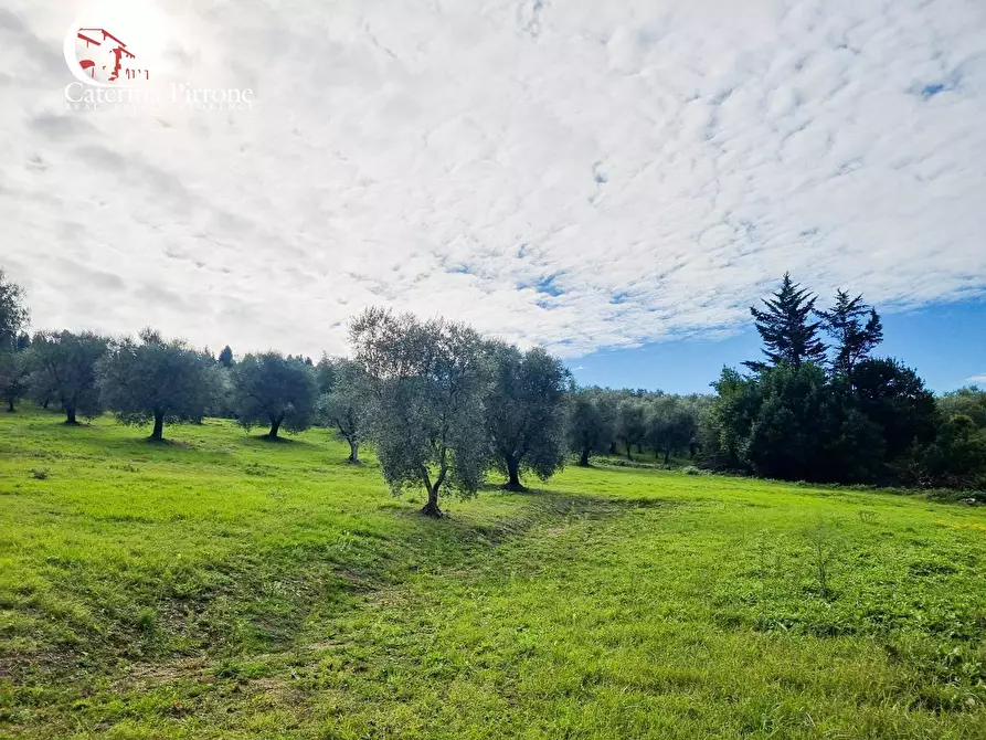 Immagine 14 di Villa in vendita  in via dello Stracchino 10 a Pontassieve