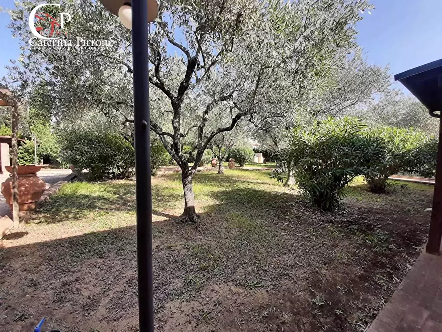Immagine 6 di Villa in vendita  in piazza della Libertà 10 a Cecina