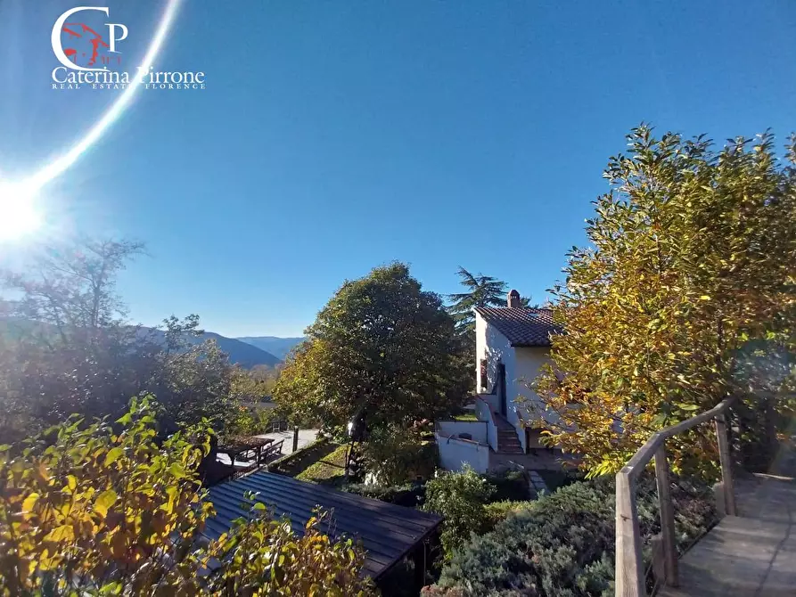 Immagine 6 di Villa in vendita  in via Poggio alla Cuna snc a Londa