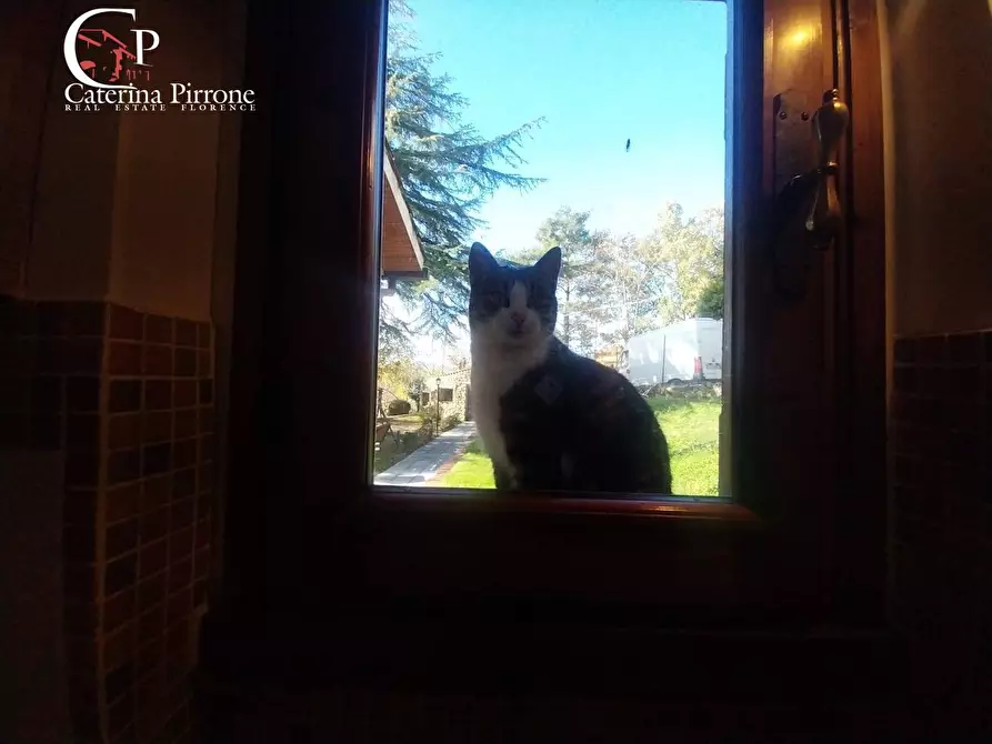 Immagine 23 di Villa in vendita  in via Poggio alla Cuna snc a Londa