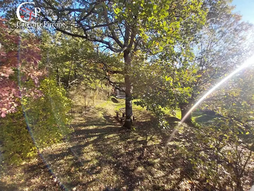 Immagine 19 di Villa in vendita  in via Poggio alla Cuna snc a Londa