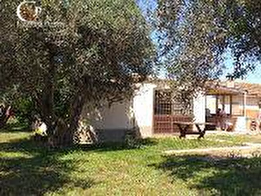 Immagine 7 di Villa in vendita  in via vicinale dei Cavallini 15 a Orbetello