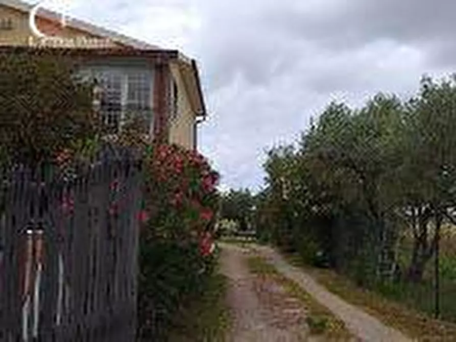 Immagine 9 di Villa in vendita  in via vicinale dei Cavallini 15 a Orbetello