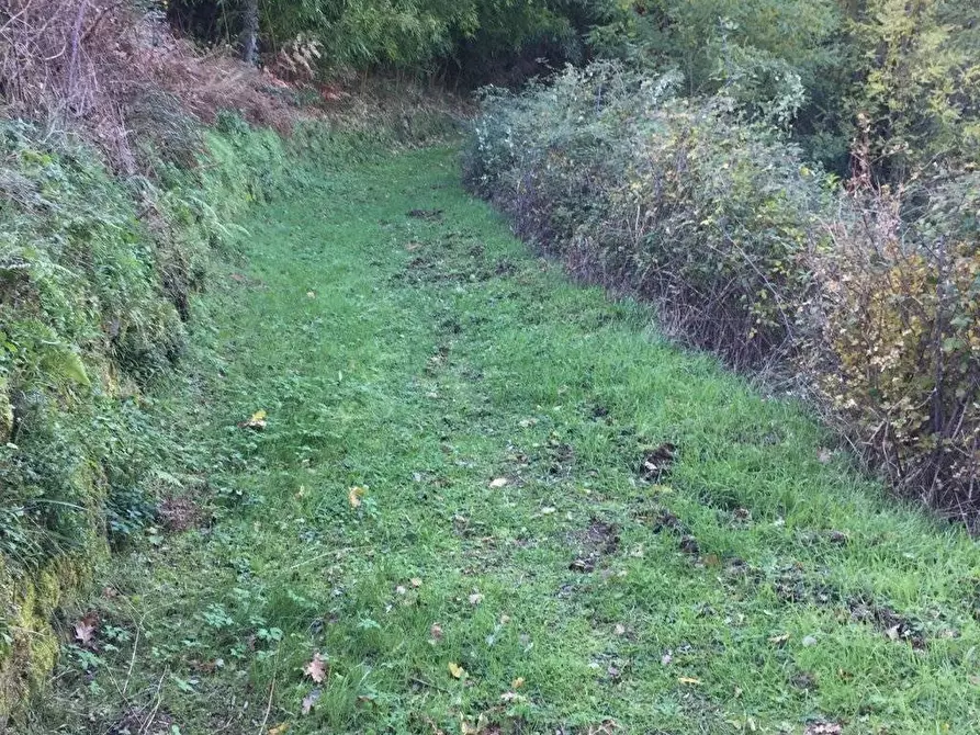 Immagine 23 di Rustico / casale in vendita  in località Spaliena 10 a Londa