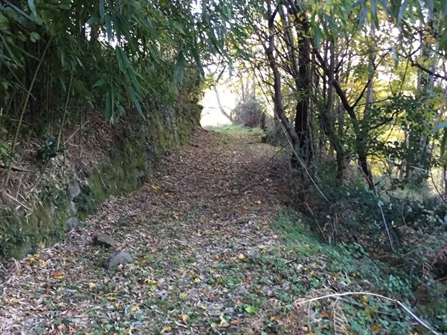 Immagine 26 di Rustico / casale in vendita  in località Spaliena 10 a Londa