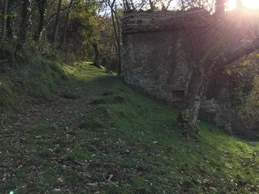 Immagine 21 di Rustico / casale in vendita  in località Spaliena 10 a Londa
