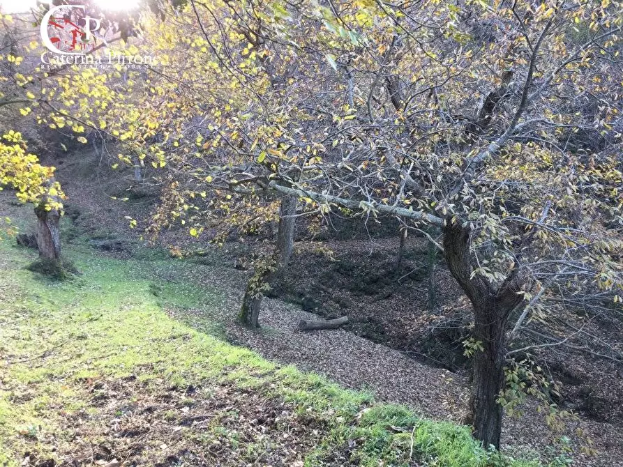 Immagine 24 di Rustico / casale in vendita  in località Spaliena 10 a Londa