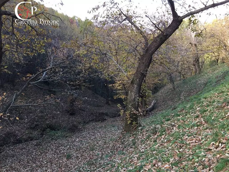 Immagine 27 di Rustico / casale in vendita  in località Spaliena 10 a Londa