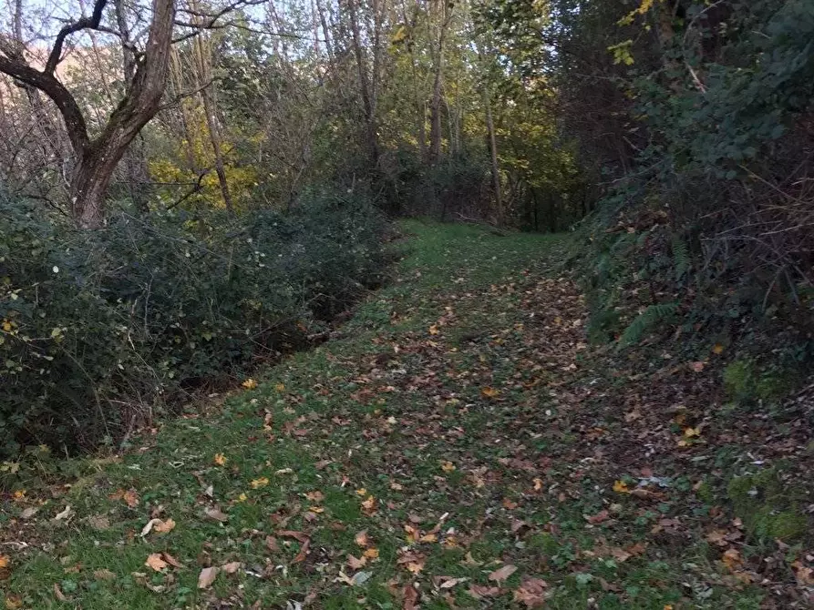 Immagine 31 di Rustico / casale in vendita  in località Spaliena 10 a Londa