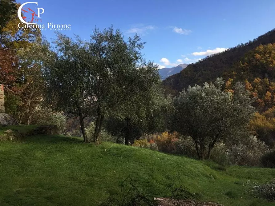 Immagine 32 di Rustico / casale in vendita  in località Spaliena 10 a Londa